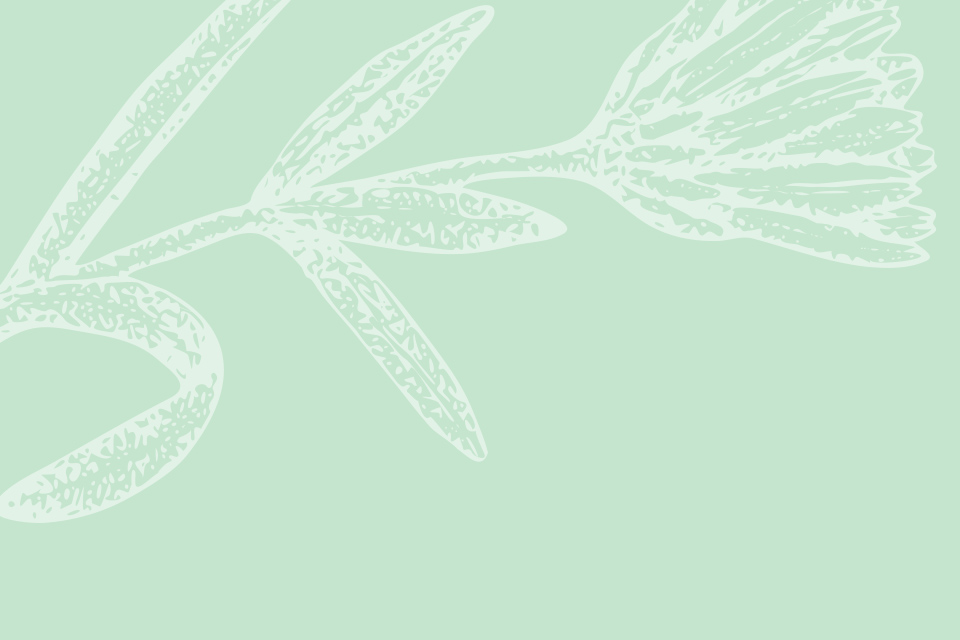 special-promotions-bg special-promotions-bg